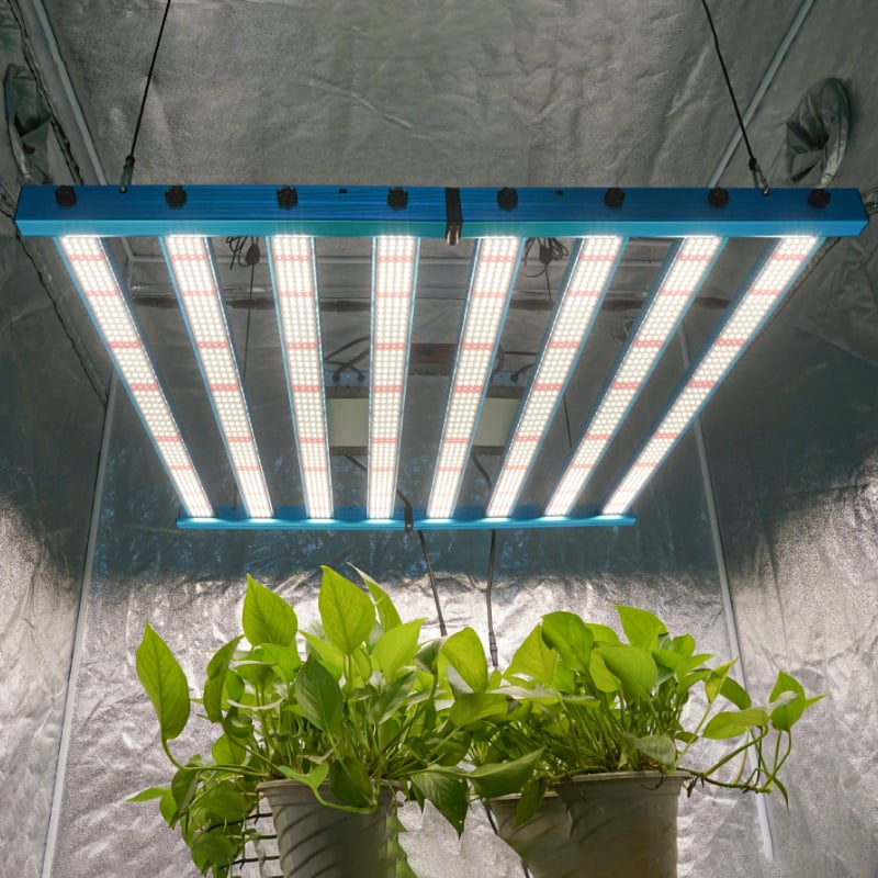 Kingbrite x55 650W BAR Grow Light with UV+IR |Samsung LM281B