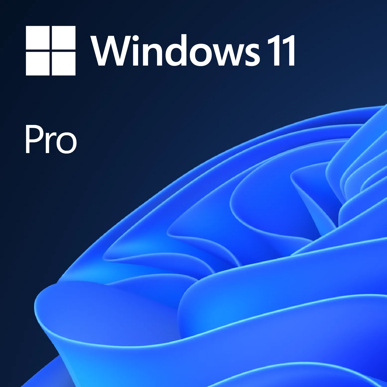 Windows 11 Pro HAV-00164